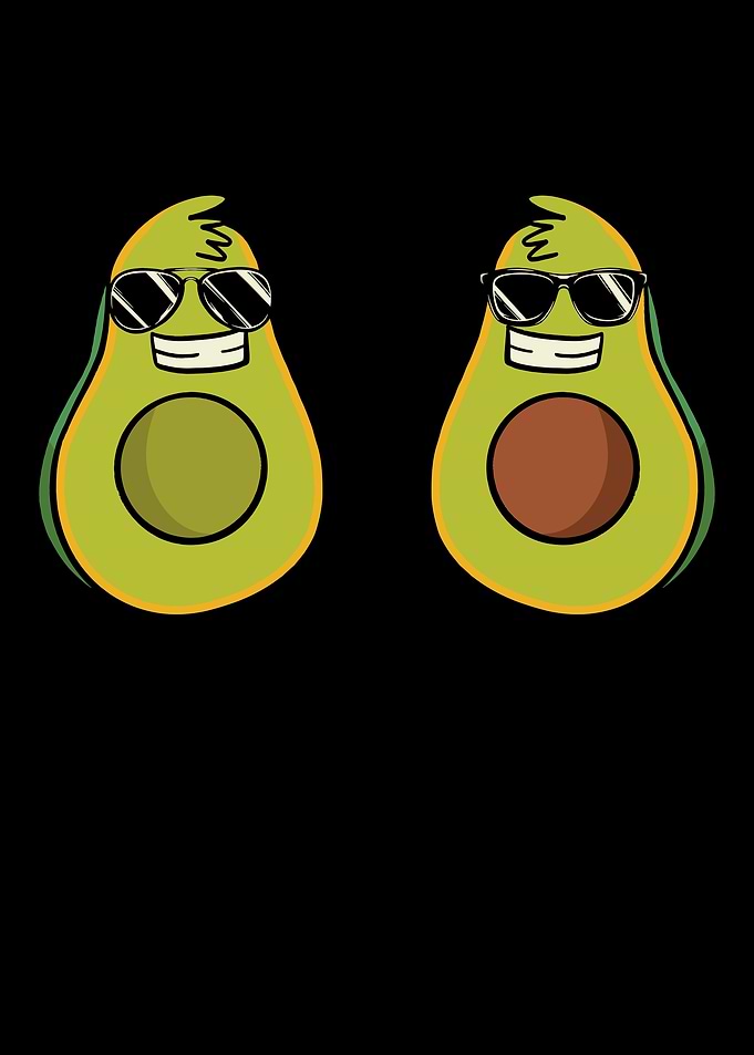 Avocado Fruit