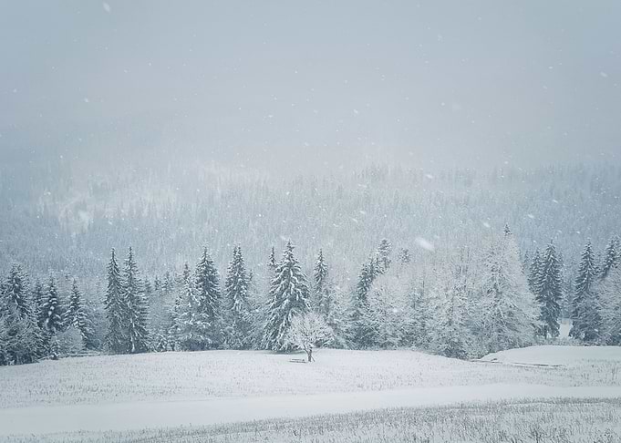 Winter snowfall landscape