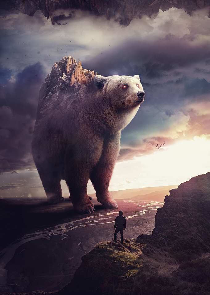 Traveling Bear