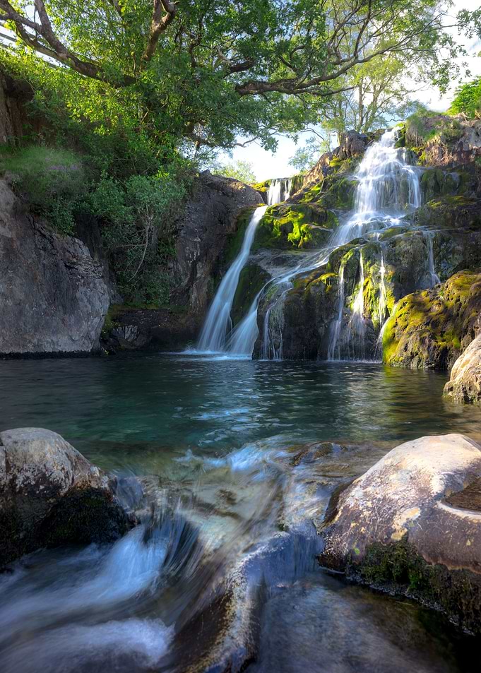 Waterfall in the Forest