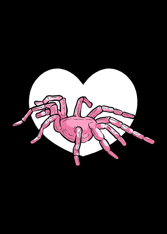 I Love Spiders