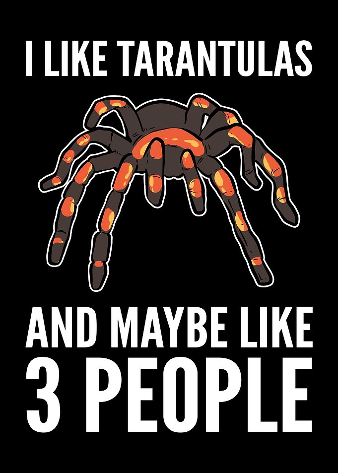 I Like Tarantulas