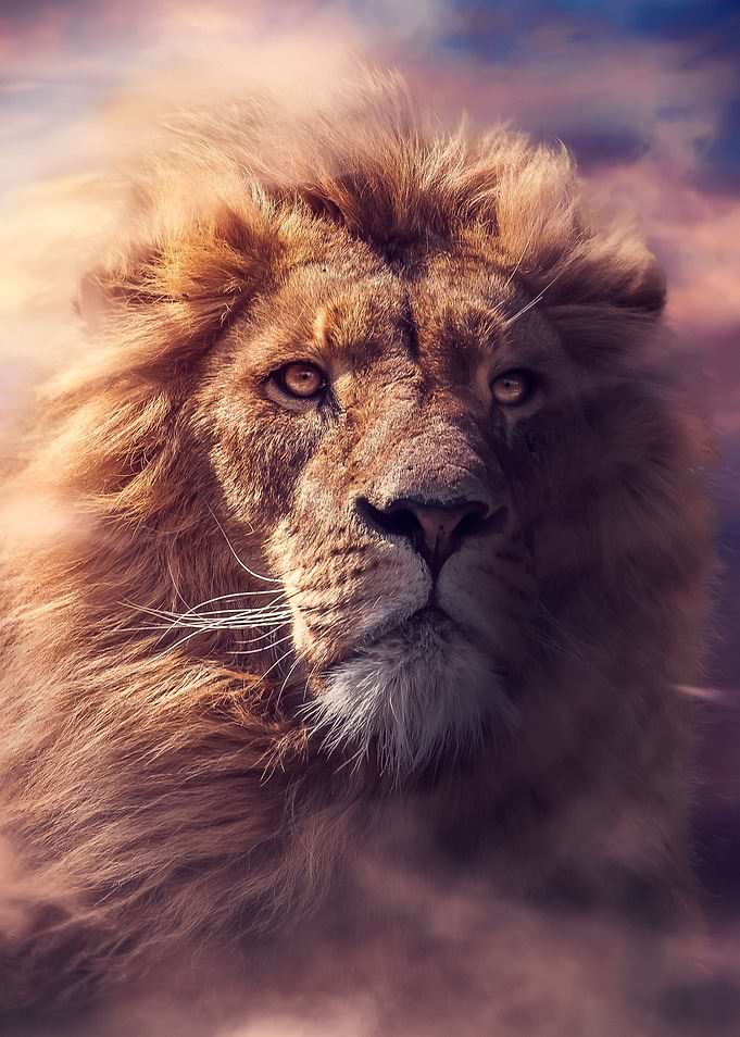 epic lion head on sky