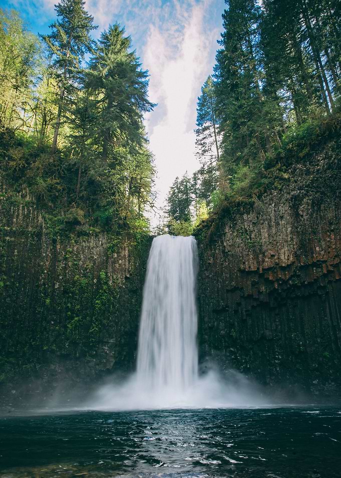 Waterfall in the Forest
