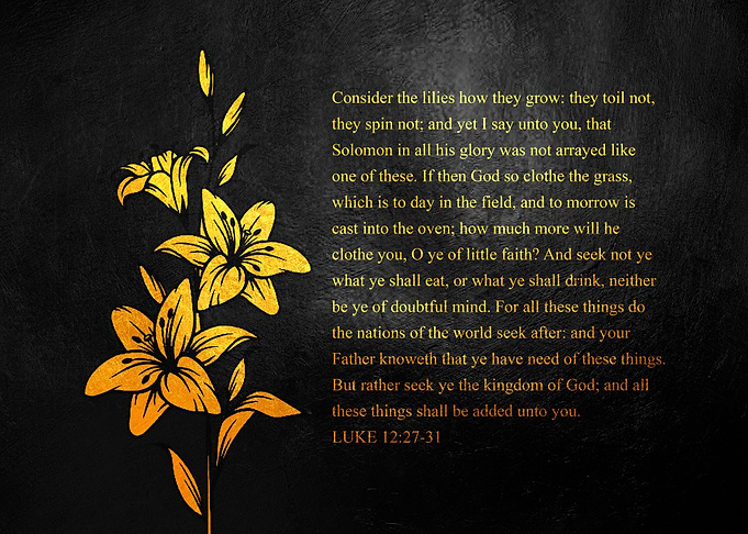 Luke 12:27-31