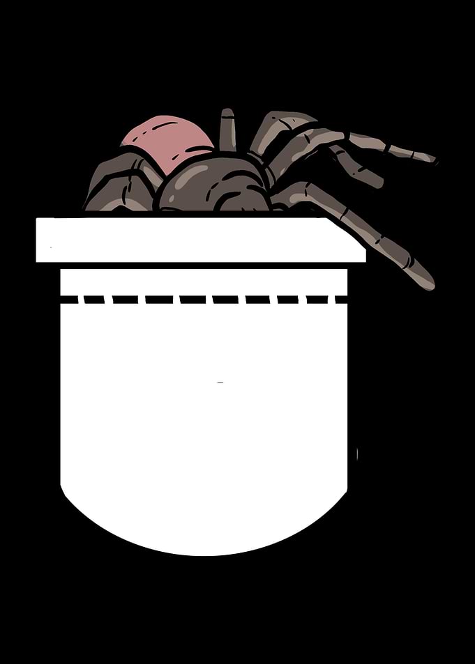 Spider In Pocket