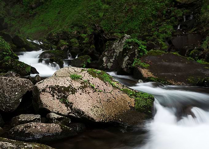 Spring Streams