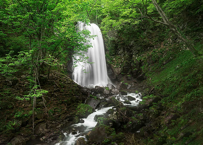 New Green Waterfall