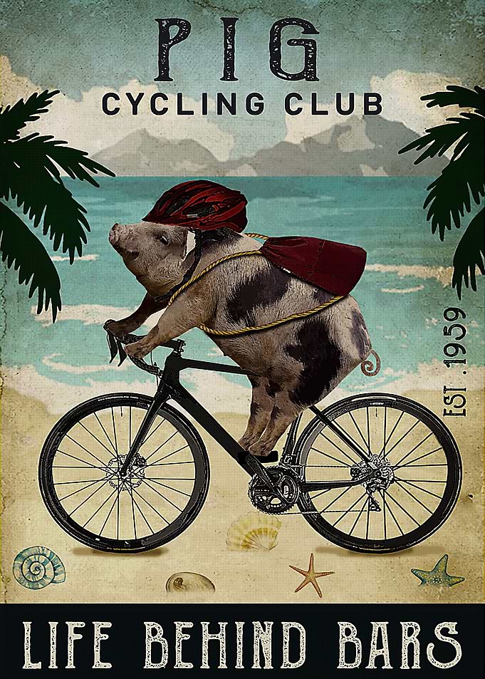 Pig Cycling beach