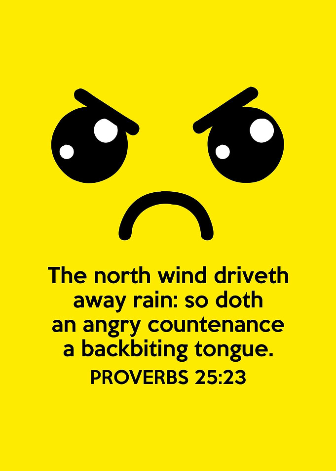 Proverbs 25 23