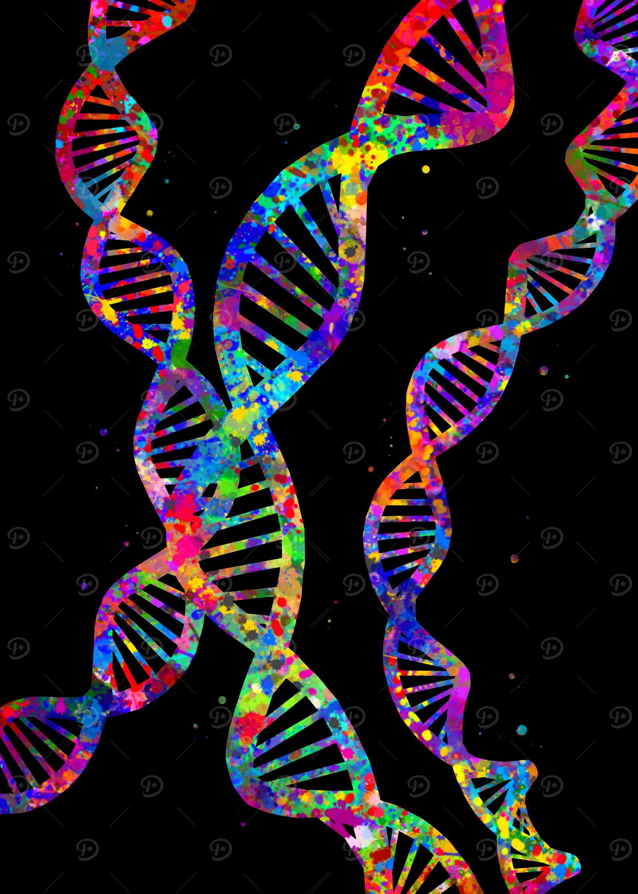 Human DNA