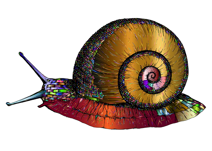 Colorful Snail Slug Animal