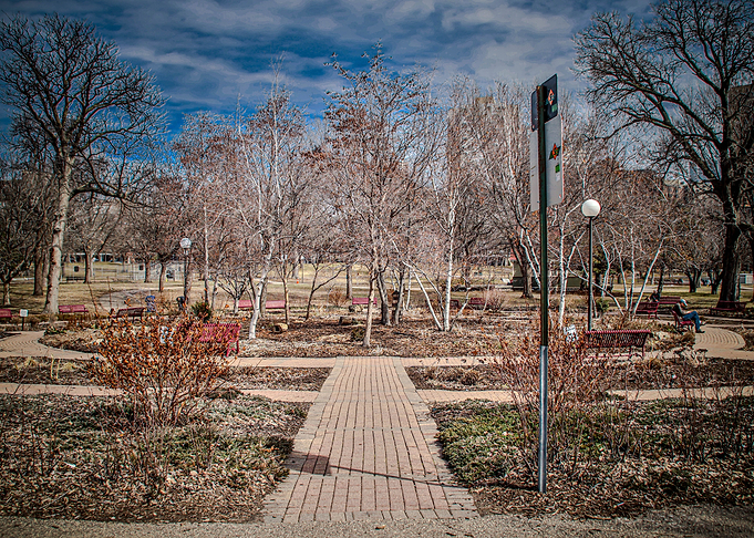 The Park