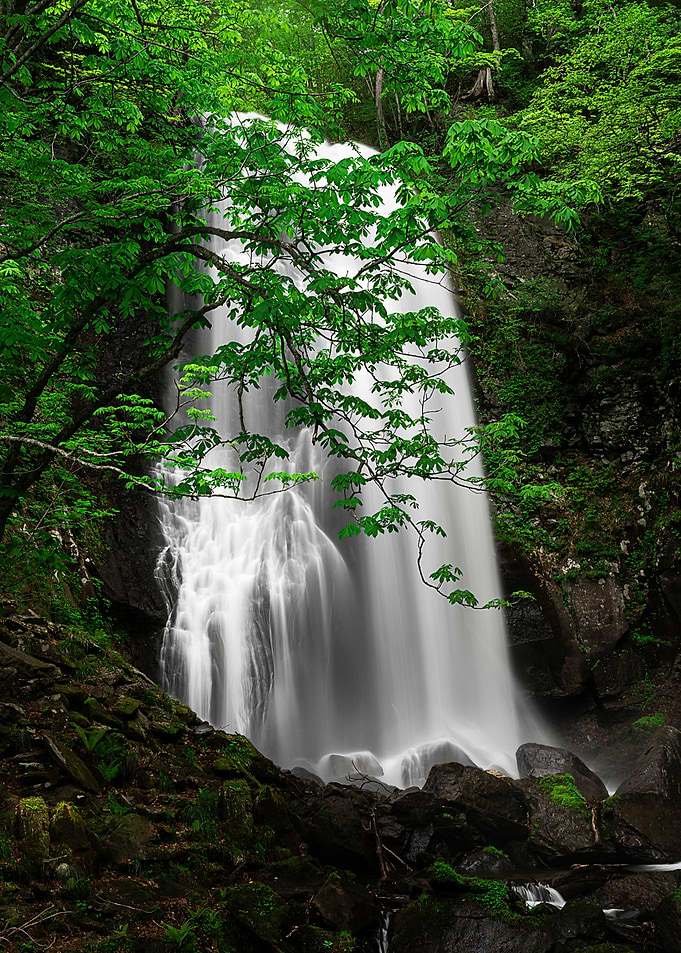 New Green Waterfall
