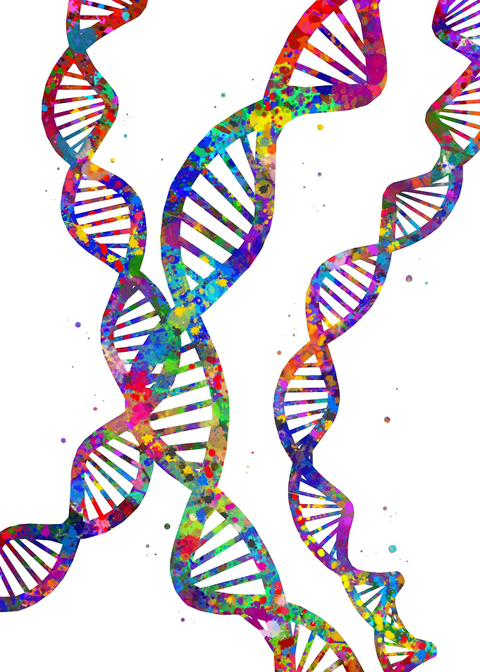 DNA