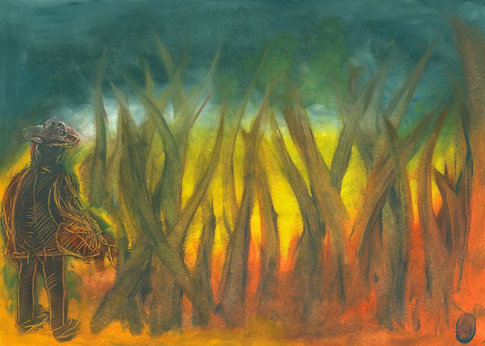 Fire in forest