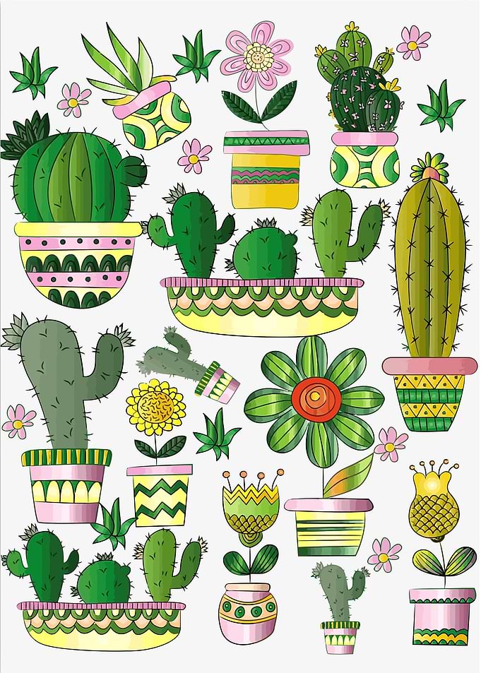 Cactus by Illustrator