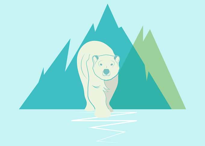 Polar Bear Icebergs
