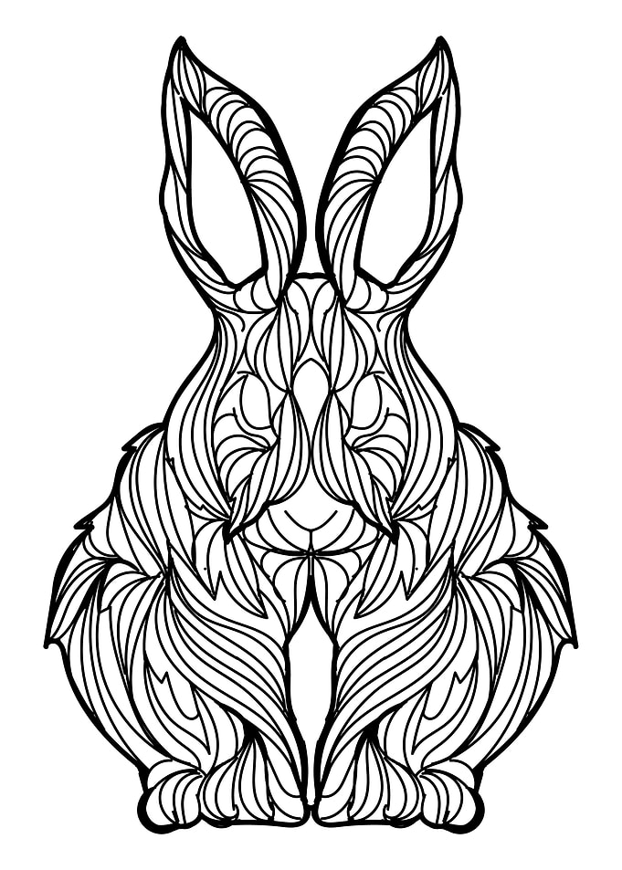 Bunny