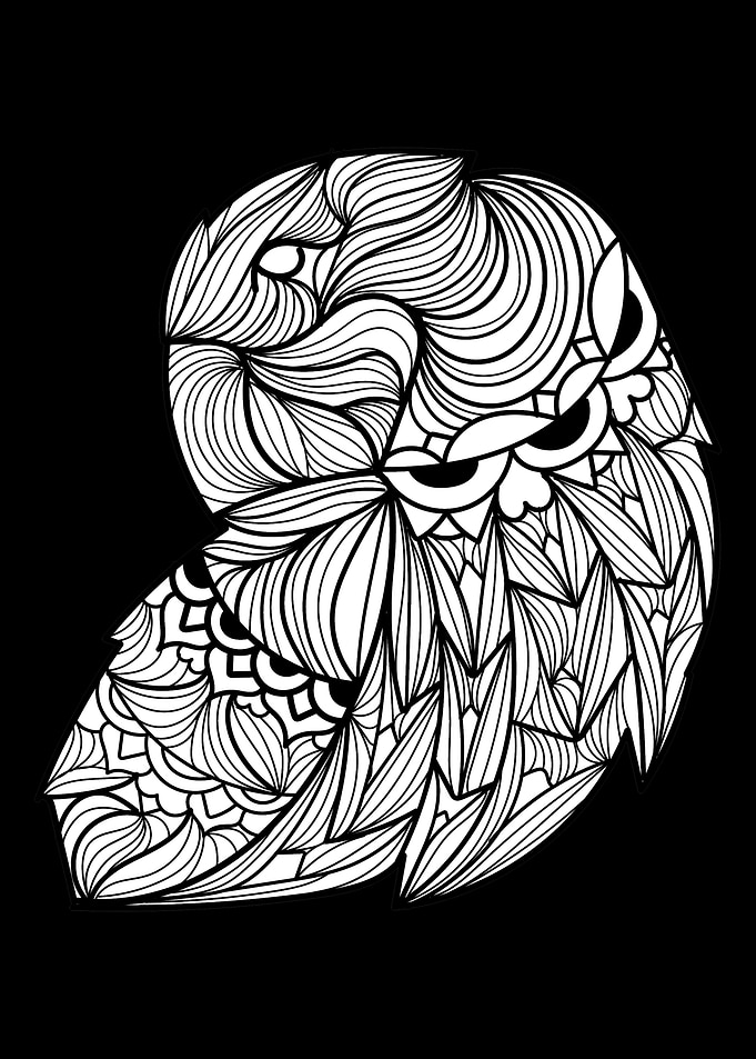 Parrot