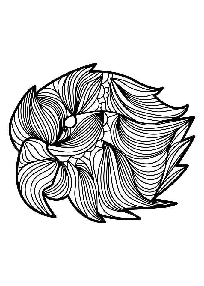 Parrot