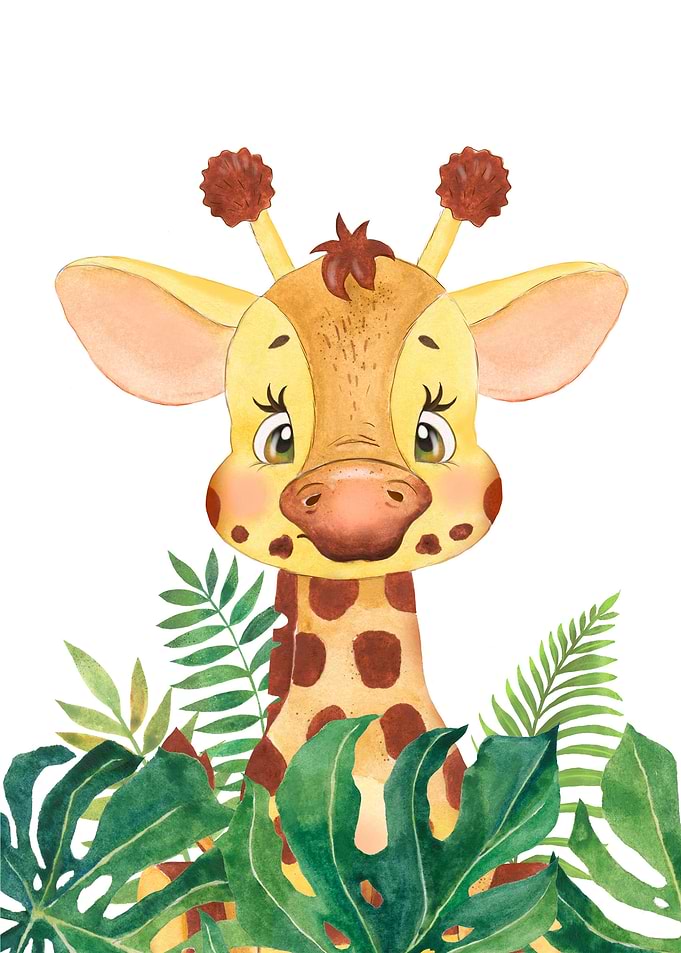 Cute Baby Giraffe Animal