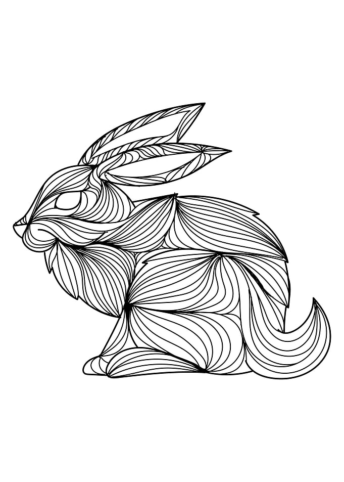 Rabbit