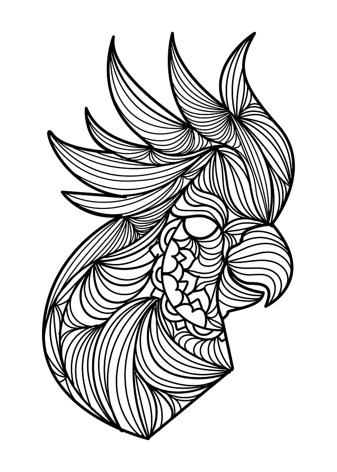 Parrot
