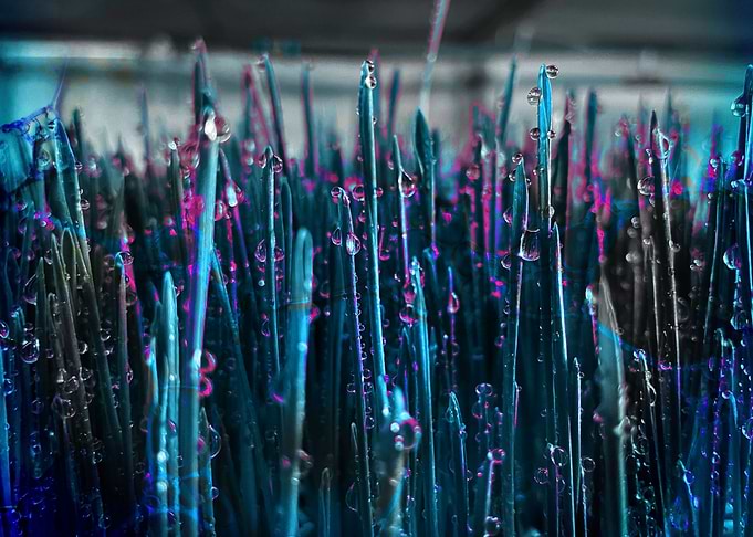 Neon Grasscape