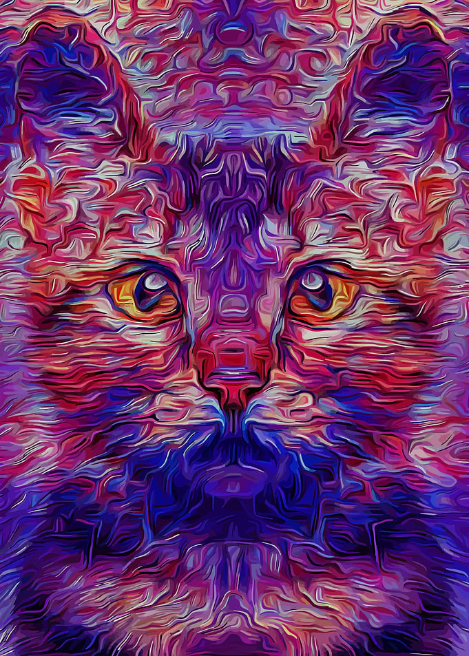 Cat Fantasy