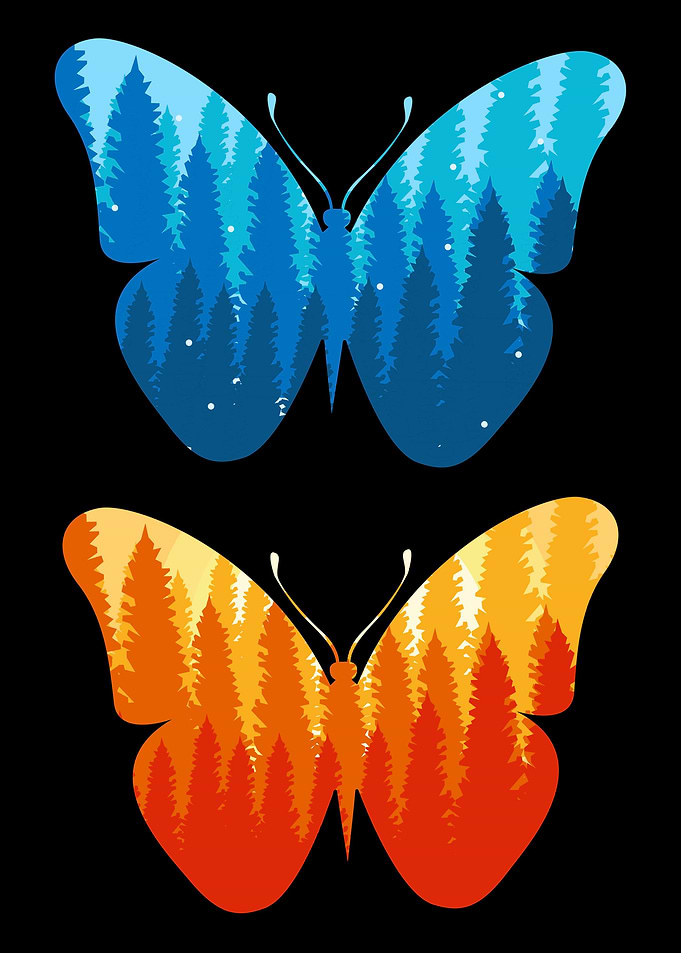 Butterflies Forest Nature