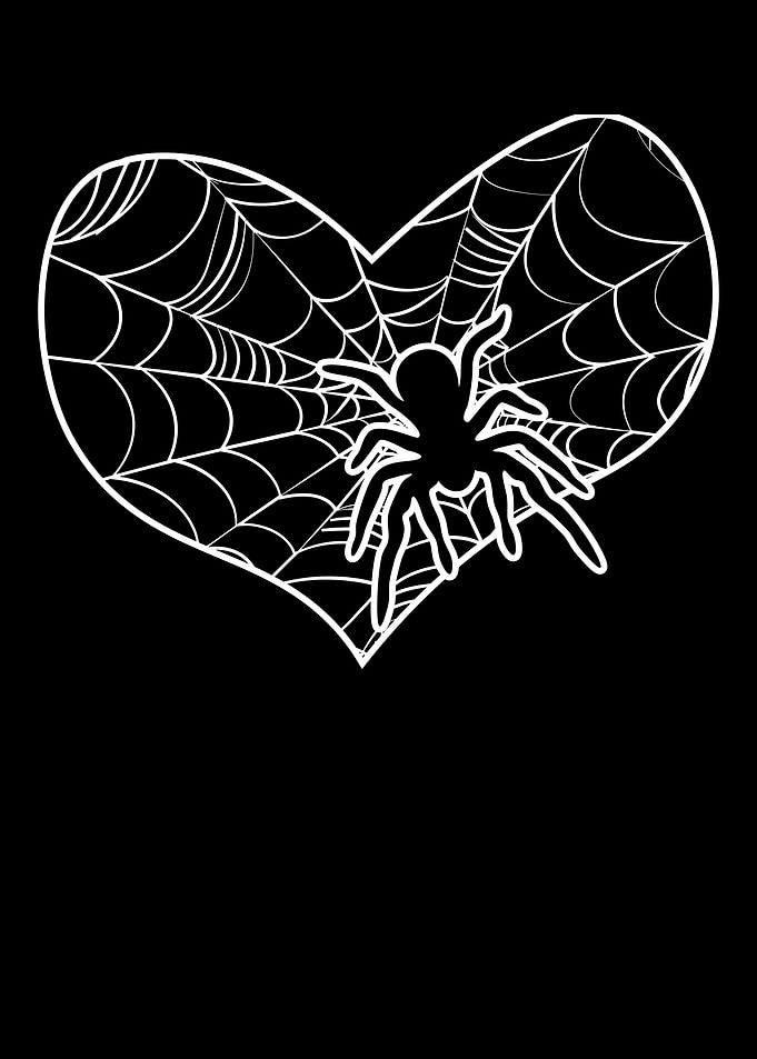 Spider Web