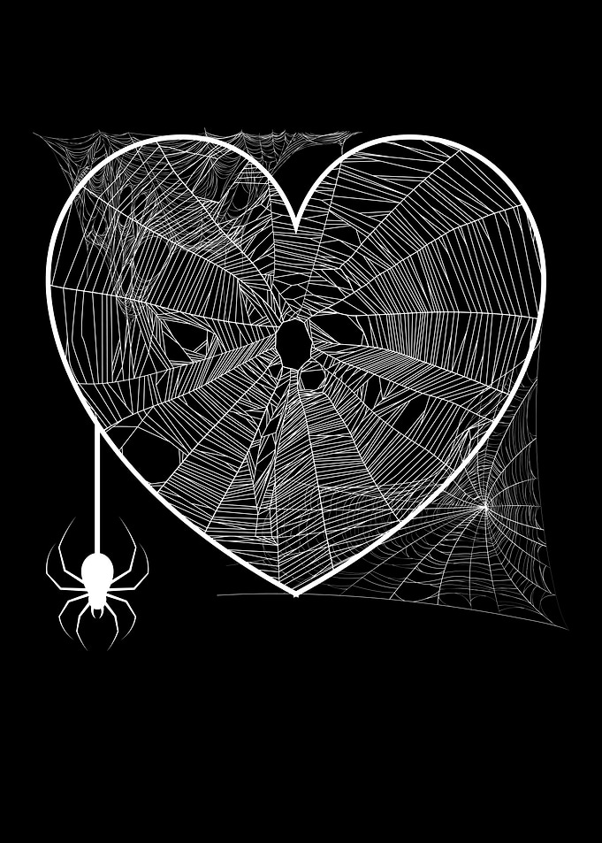 Spider Web