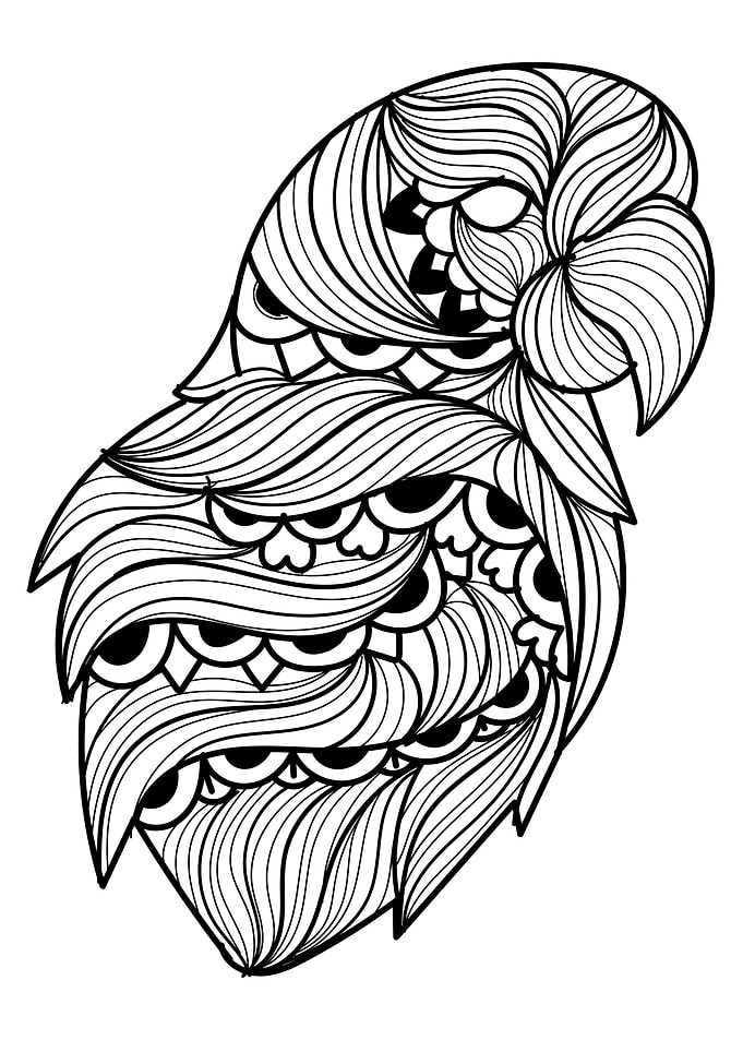Parrot