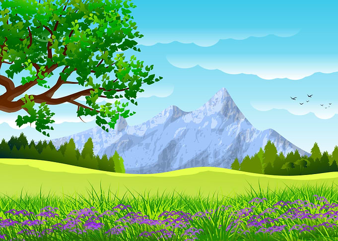Illustrated fields