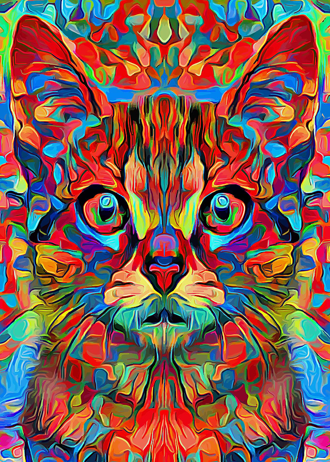 Cat Fullcolor