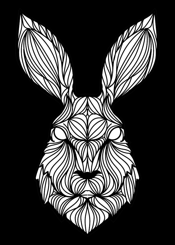 Donnie Darko Frank