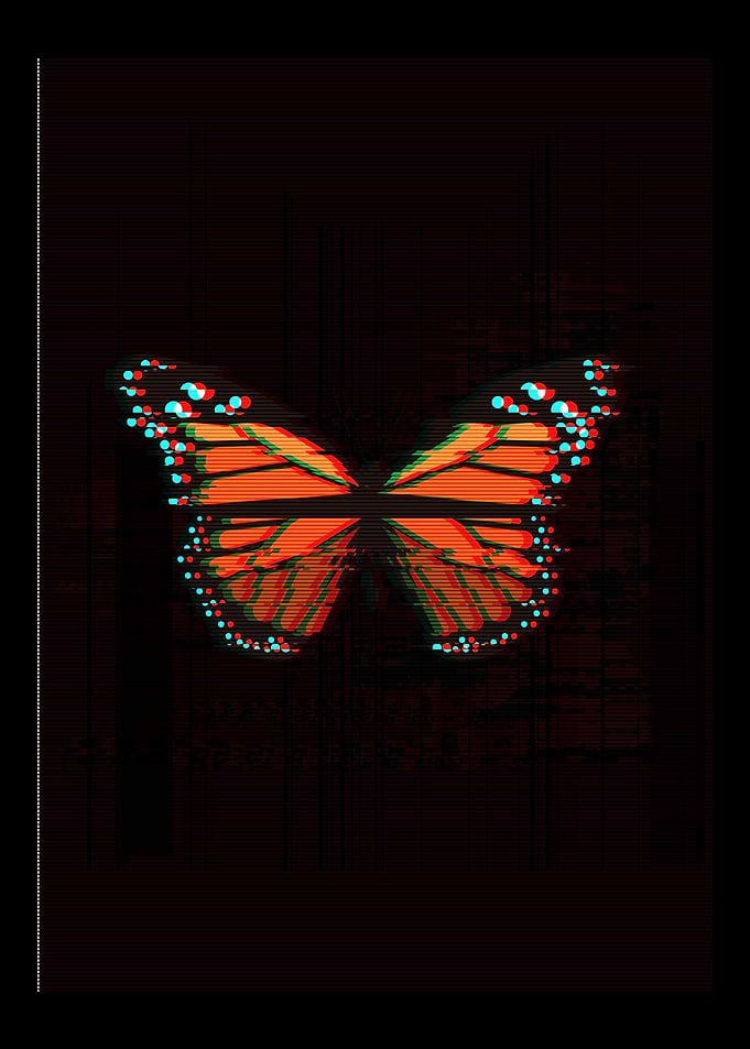 Monarch Butterfly