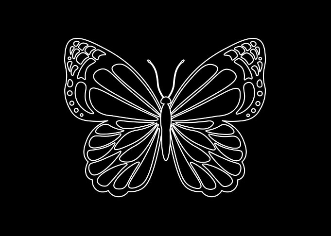 Butterfly Aesthetic
