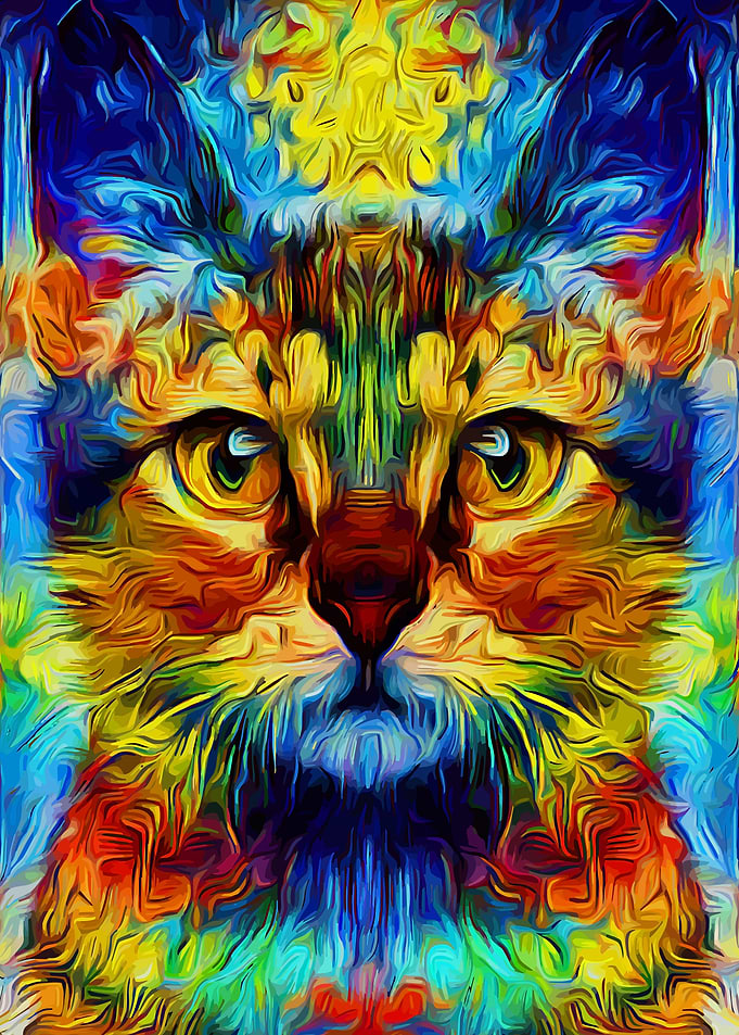 Cat Colorful