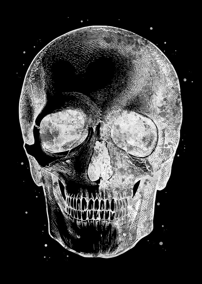 Human Skull