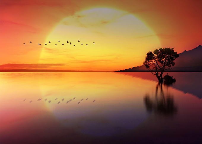 Dreamy Sunset