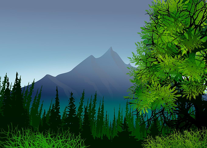Illustrated Wilderness