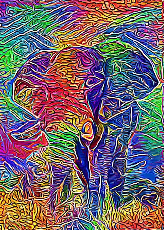 Elephant Rainbow