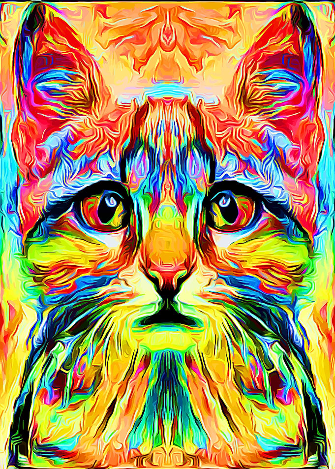 Cat Colorful 2