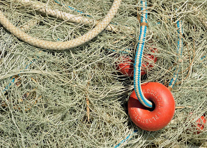 Fishing Net