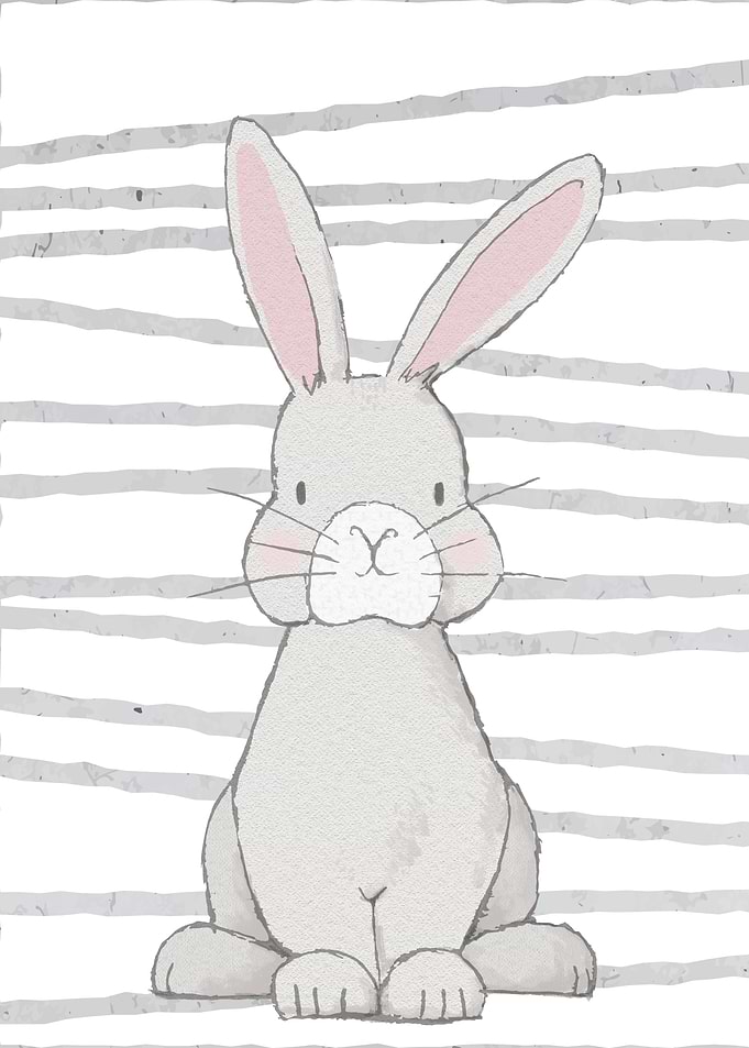 sweet little Rabbit Kids