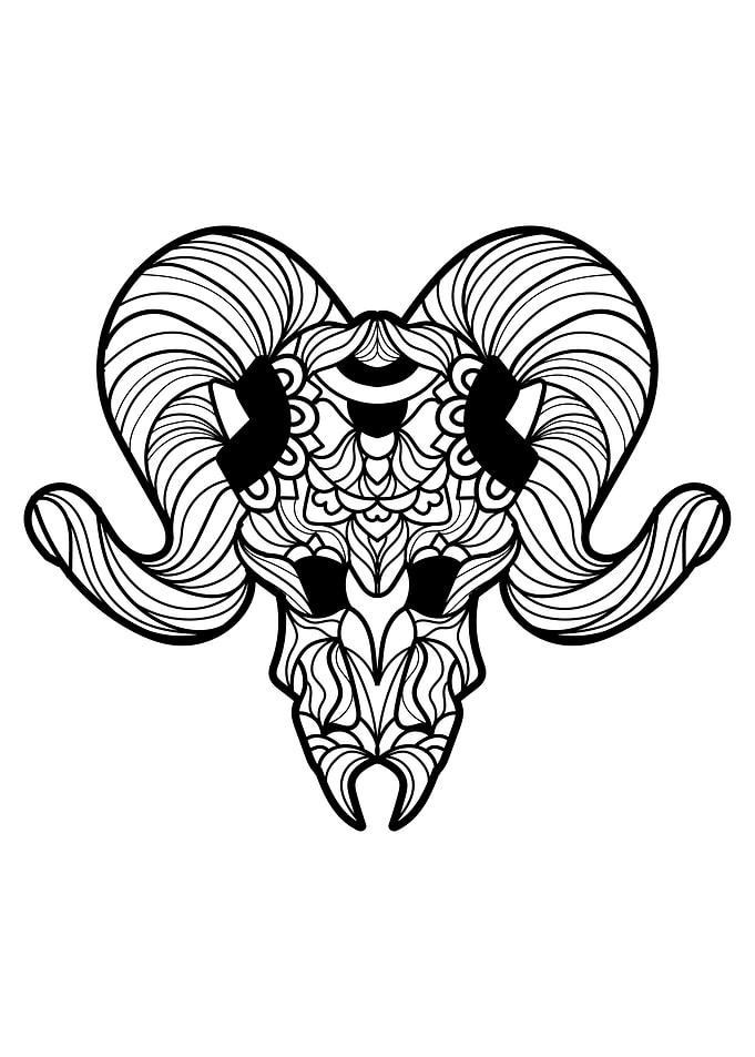 Ram Skull