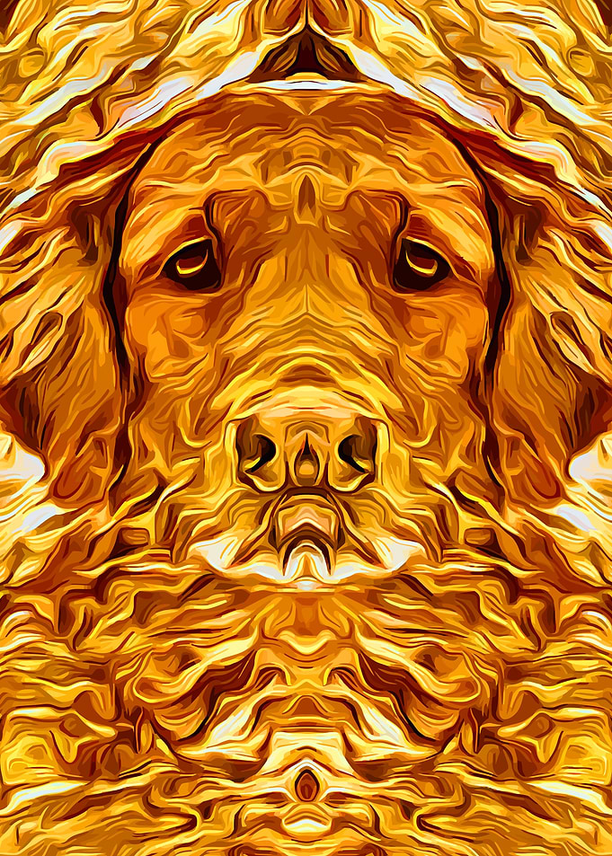 Golden Retriever 2
