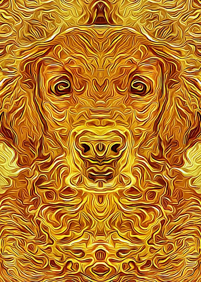 Golden Retriever 6
